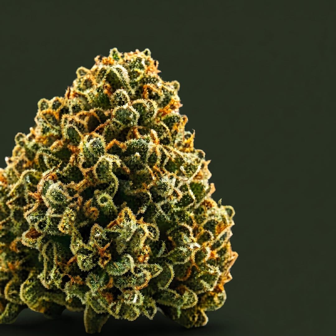 Amnesia Haze