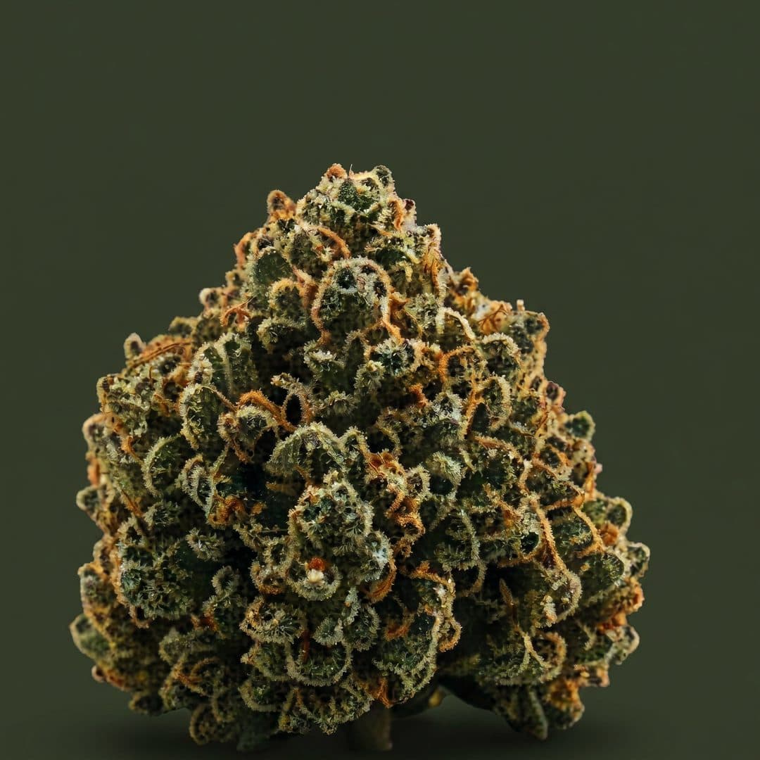 OG Kush