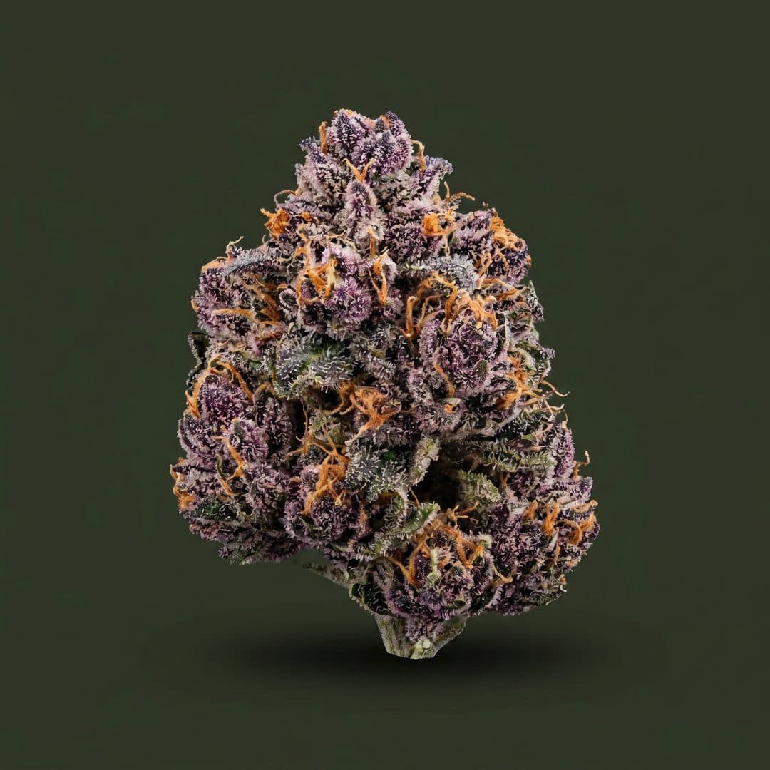 Purple Kush CBD